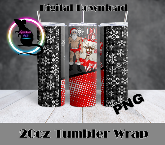 Naughty Christmas- 20oz Tumbler Wrap Singles