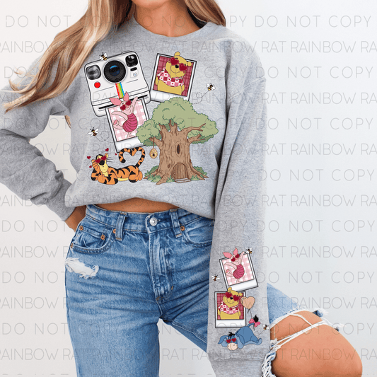 Po..oh & Friends Valentine- PNG Single with Sleeve