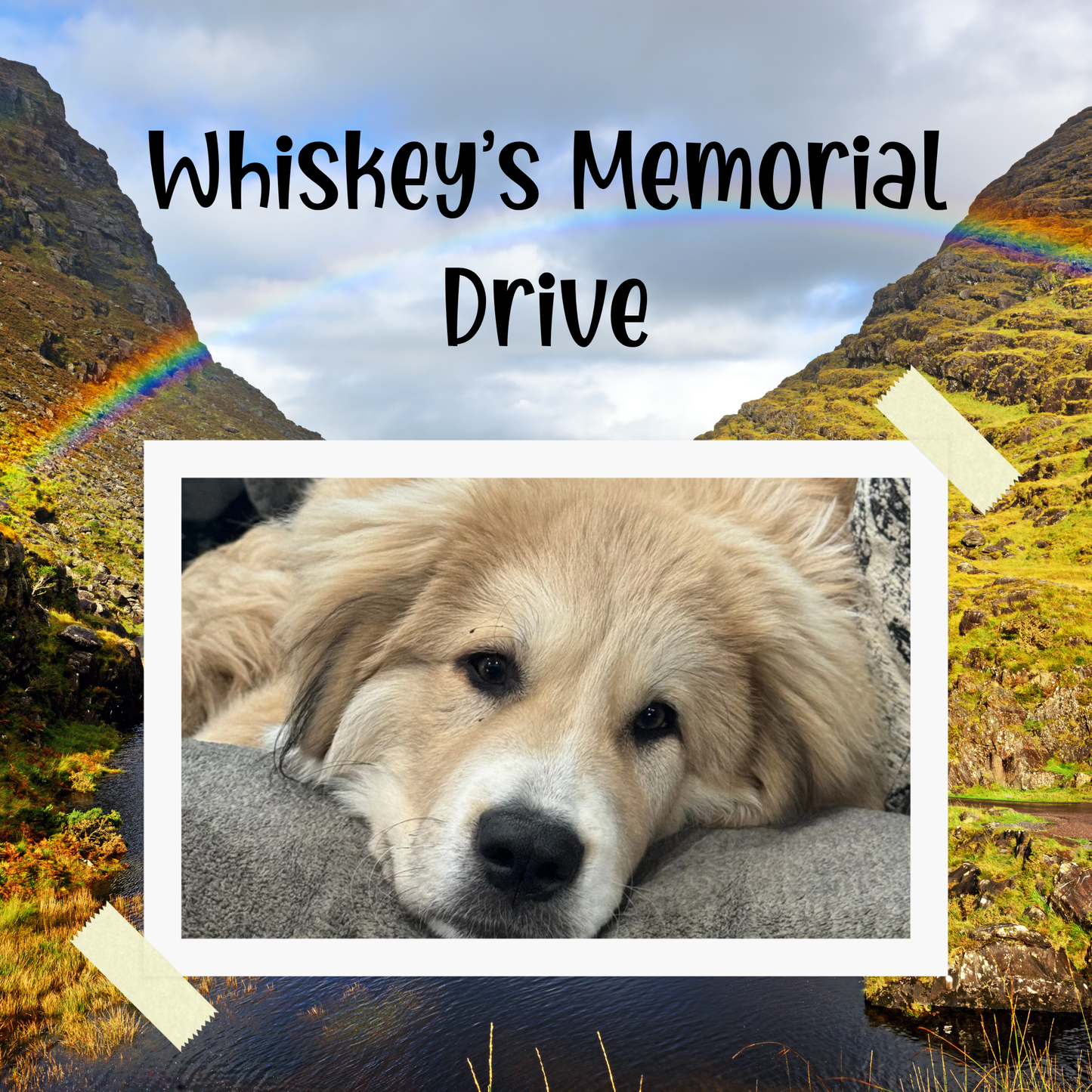 Whiskey Memorial Drive- Clipart & Digital Papers